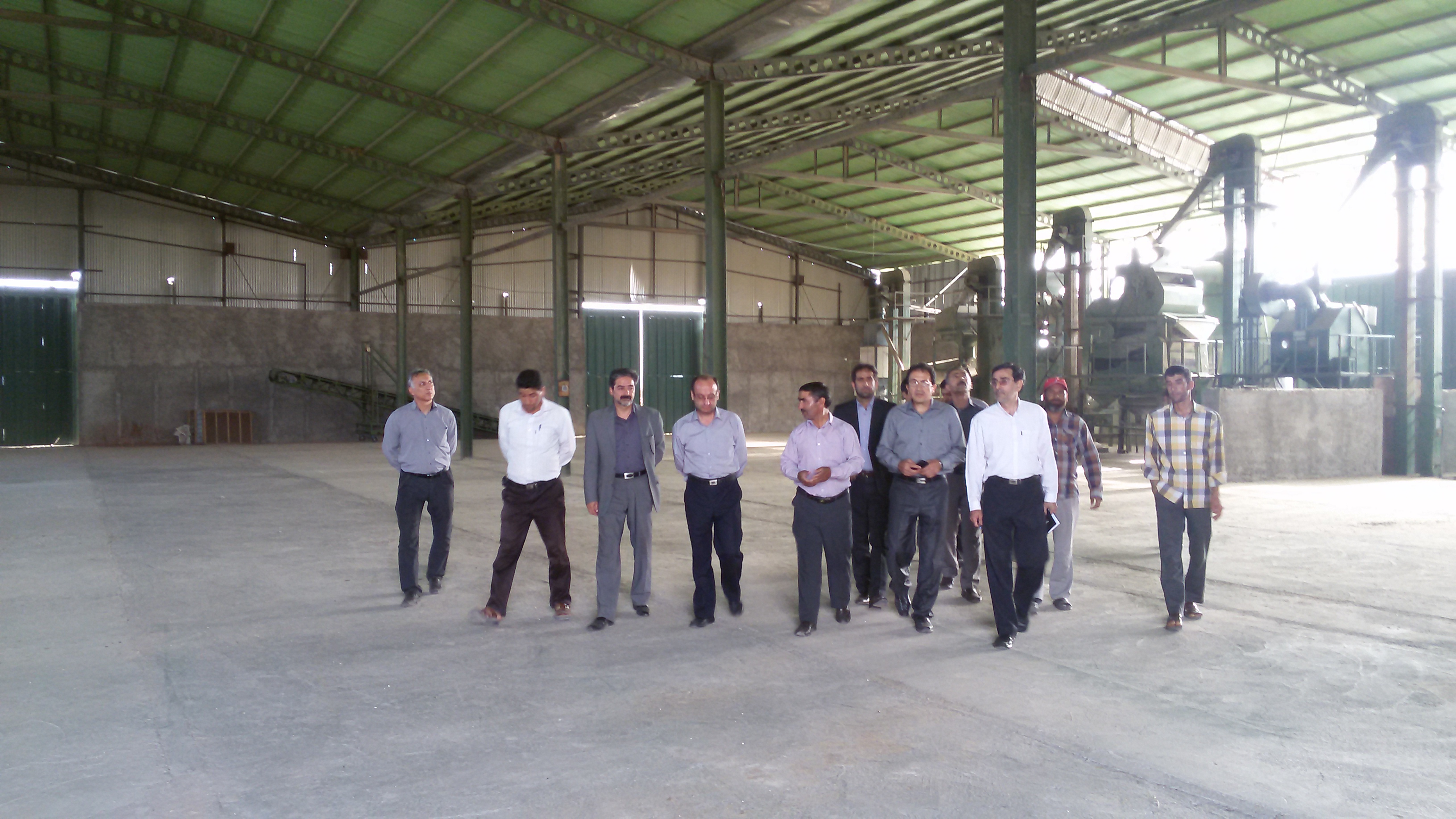 تولید کننده بذر جو، تریتیکاله و پنبه